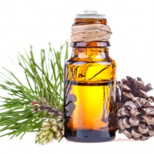 TINH DẦU THÔNG PINE - 100ml