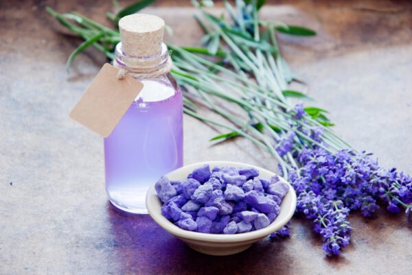 Tinh dầu Oải hương - 100ml
