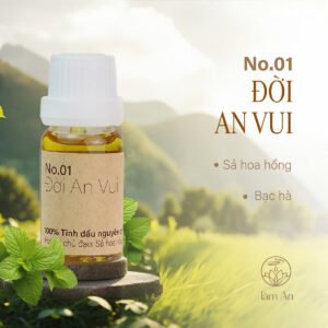 Tinh dầu Đời An Vui - 100ml