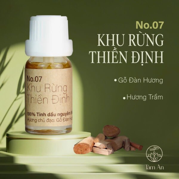 Tinh dầu Khu Rừng Thiền Định - 100ml