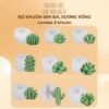 Bộ 9 khuôn sen đá, xương rồng