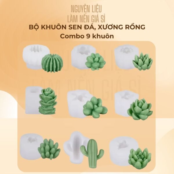 Bộ 9 khuôn sen đá, xương rồng