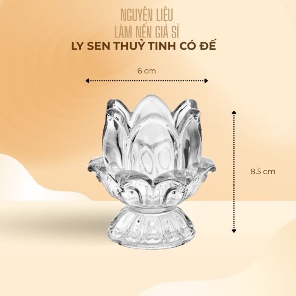 Ly Sen Thủy Tinh Có Đế